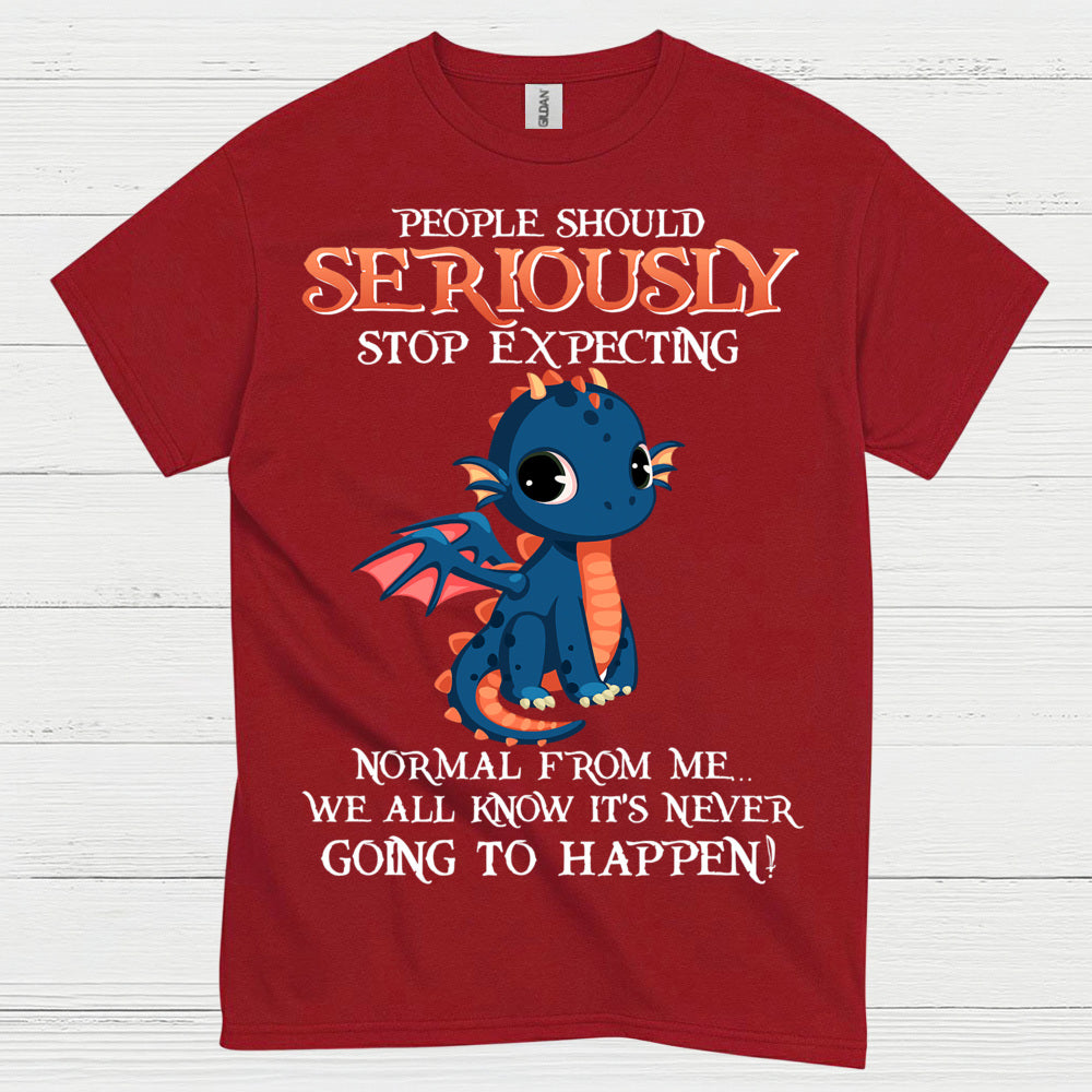 Funny Cute Dragon T Shirt