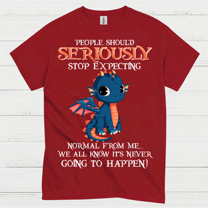 Funny Cute Dragon T Shirt