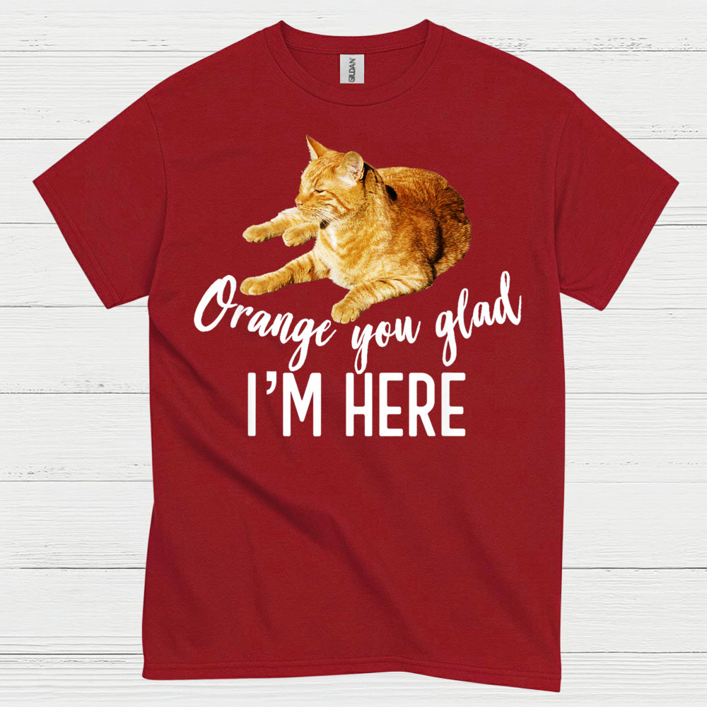 Orange You Glad Im Here Cat Humor T Shirt
