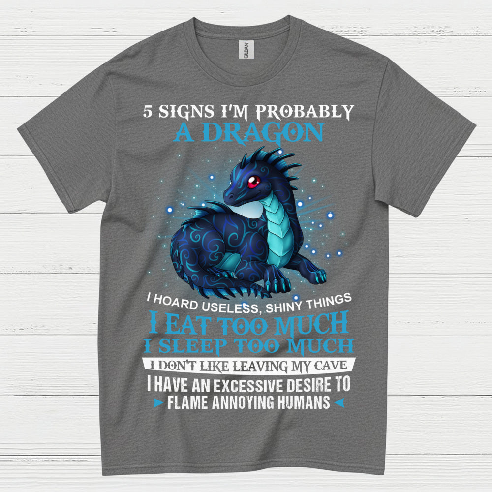 Probably A Dragon T Shirt