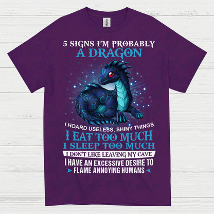 Probably A Dragon T Shirt
