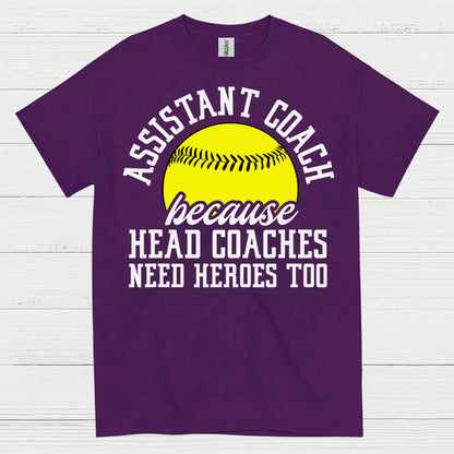 Assistant Coach Softball Hero T Shirt