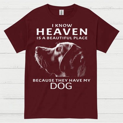 I Know Heaven Is A Beautiful Place Because They Have My Dog T Shirt