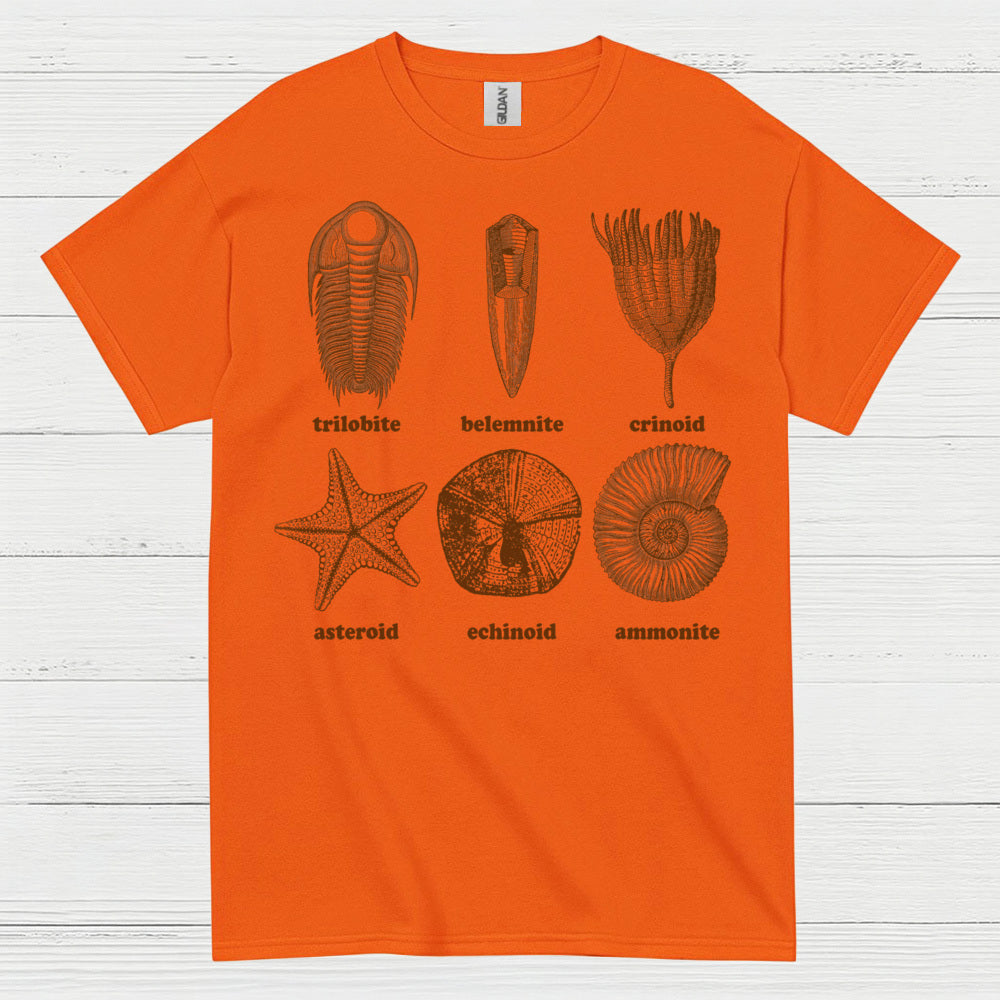 Fossil Collection Geology T Shirt