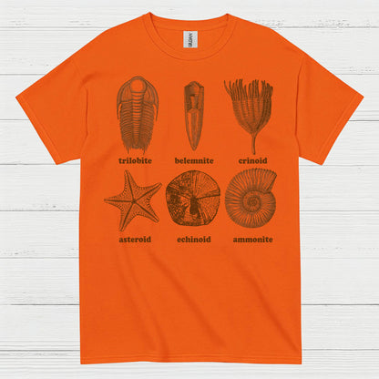 Fossil Collection Geology T Shirt