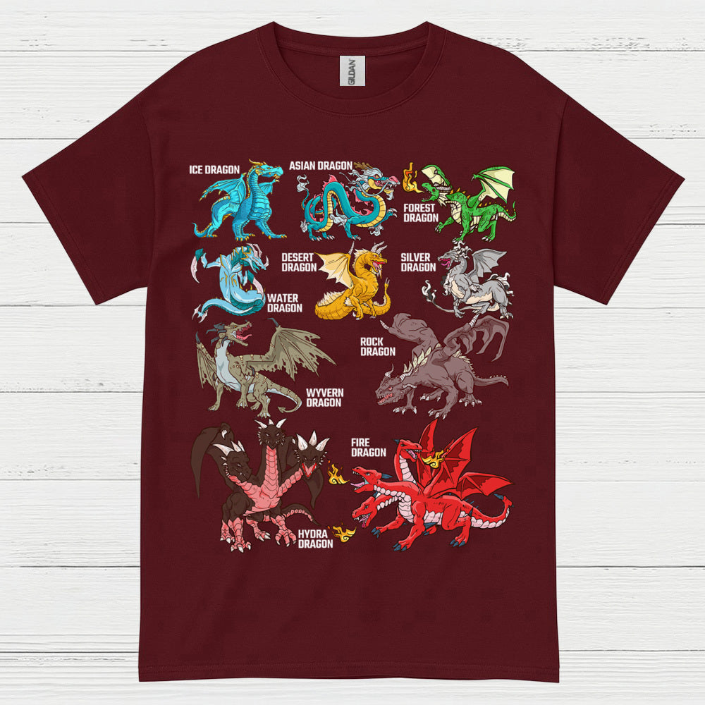 Types Of Dragons T Shirt