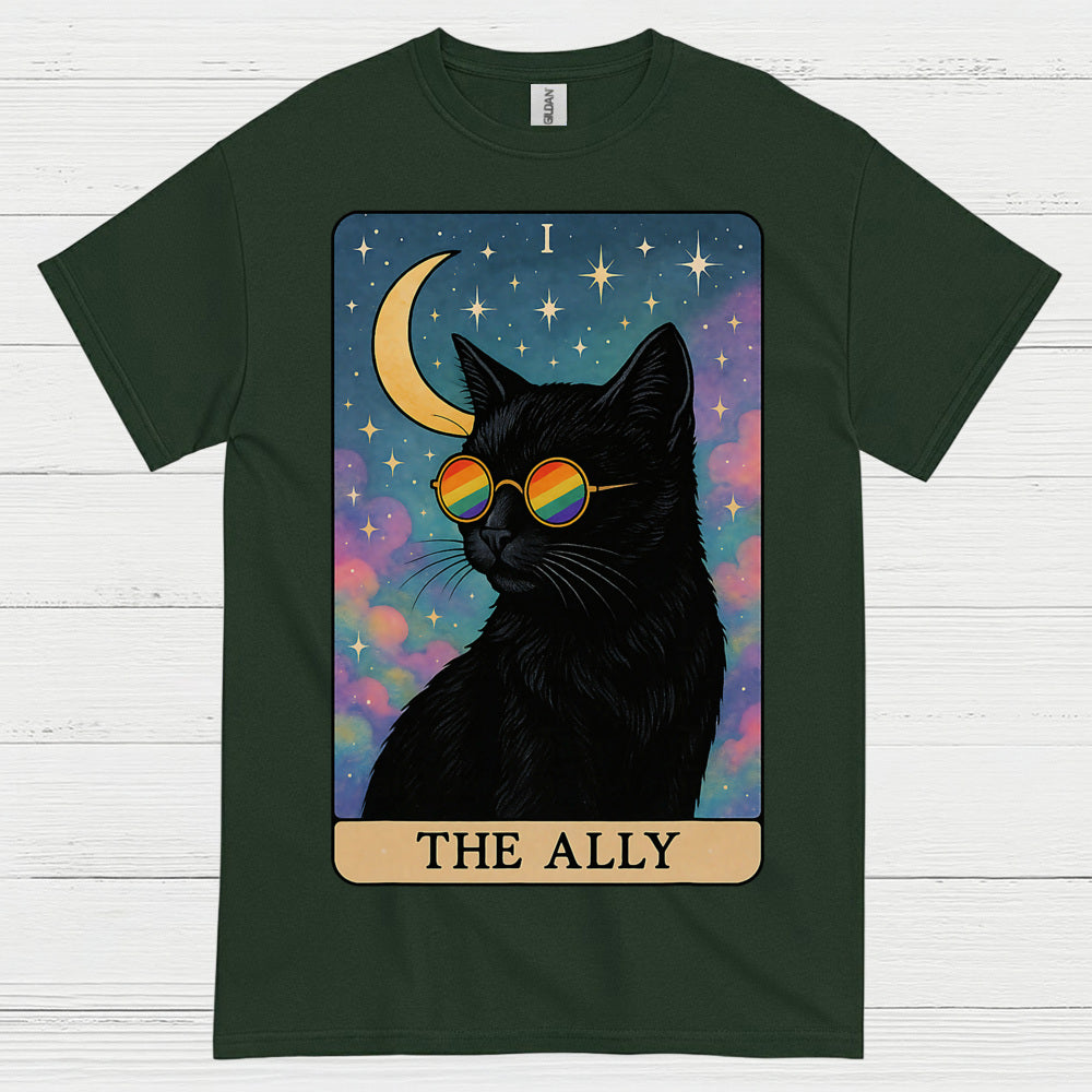 The Ally Rainbow Cat Art T Shirt