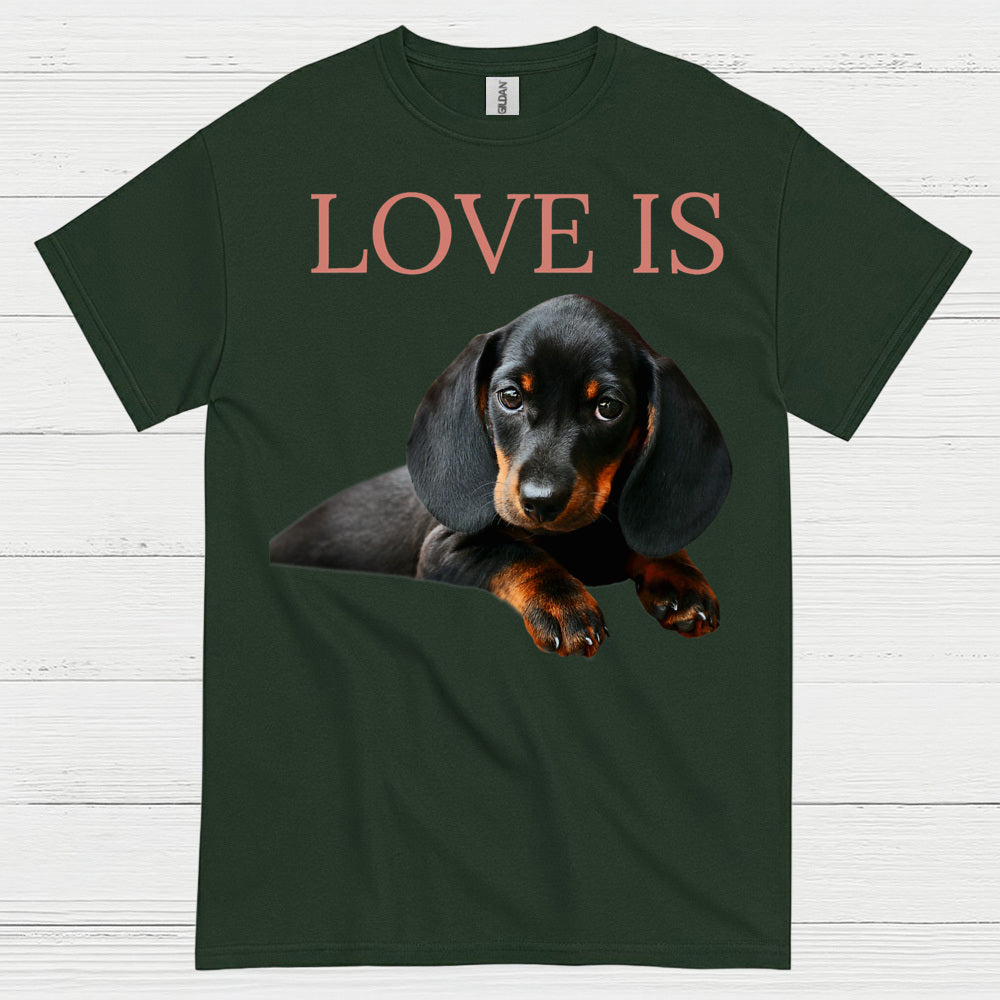Love Is Black And Tan Dachshund Puppy T Shirt