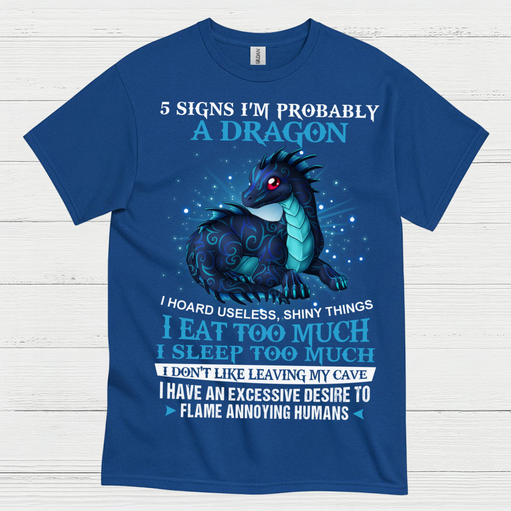 Probably A Dragon T Shirt
