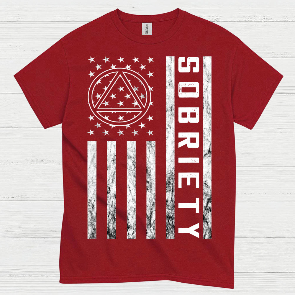 Sobriety Flag Recovery T Shirt